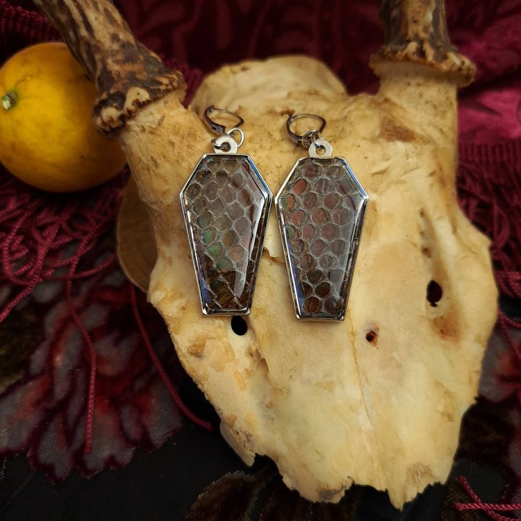Assorted Holographic Snakeskin Coffin (Earrings )